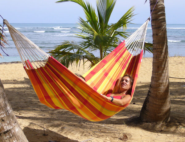 Amazonas Barbados Papaya