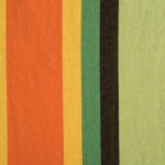 Amazonas Brasil Gigante Esmeralda