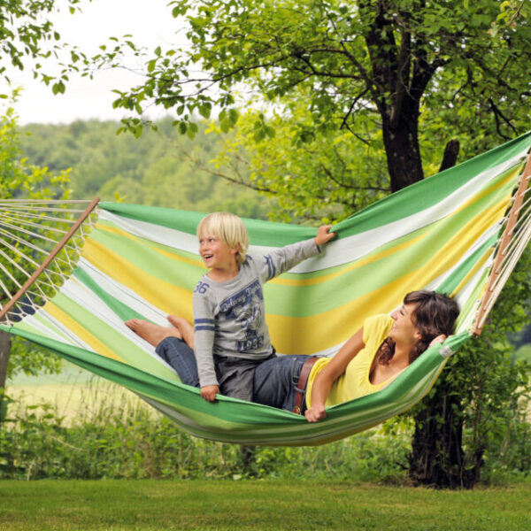 Amazonas Brasilia Apple