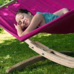 Amazonas Miami Berry