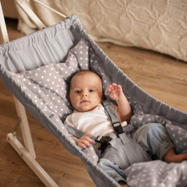 Amazonas Koala Silver